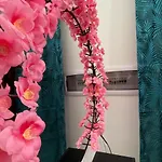 Apartman Dimora Violante