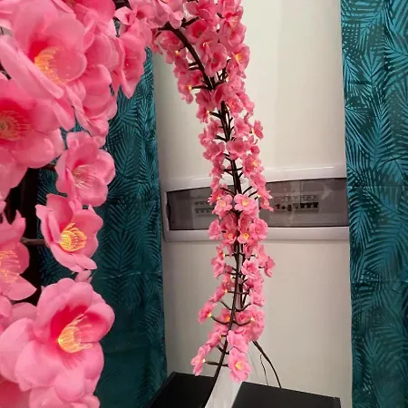 아파트 Dimora Violante